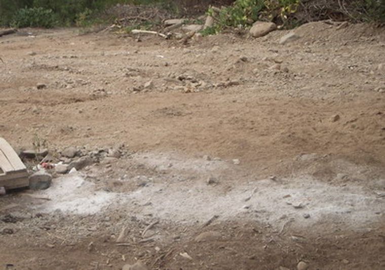 Ahora los animales muertos son enterrados entre capas de arena y cal. Foto: MDZ