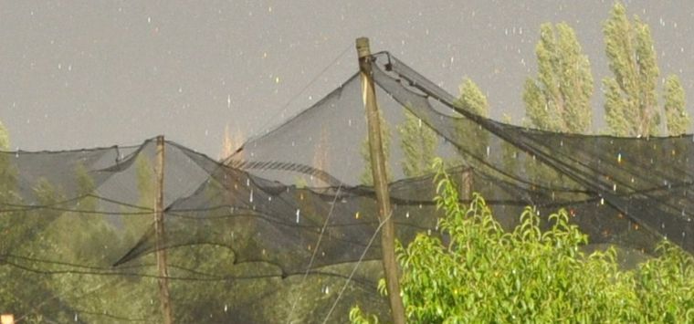 Foto: Pablo Matar - Mediamza.com