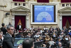 La plataforma permite ver cómo se conformarían las cámaras en base a los resultados ficticios que se carguen.