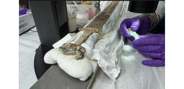 El descubrimiento sorprendió por su nivel de detalle y por su conservación. El descubrimiento sorprendió por su nivel de detalle y por su conservación. 