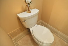 por que es un peligro tremendo ir al bano, tirar la cadena y no bajar la tapa del inodoro