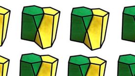 Escutoide, la fascinante nueva forma geométrica descubierta en la naturaleza