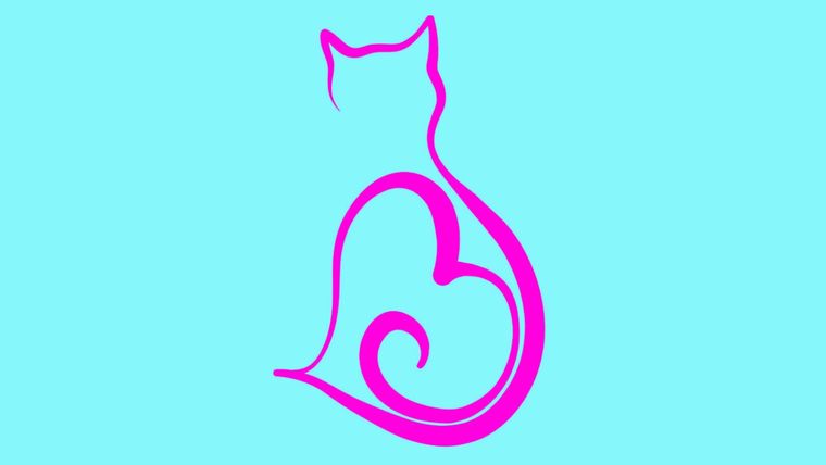 Test de personalidad