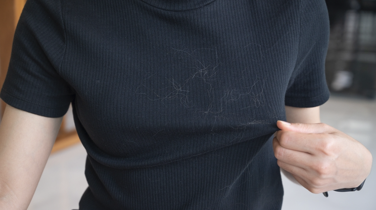 Los pelos puede ser un problema en nuestras prendas favoritas. Foto: Shutterstock