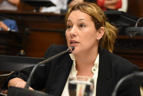 Tras un posteo en redes de la presidenta del bloque del peronismo en el Senado, se abrió una pelea por una banca en puja. Tras un posteo en redes de la presidenta del bloque del peronismo en el Senado, se abrió una pelea por una banca en puja.