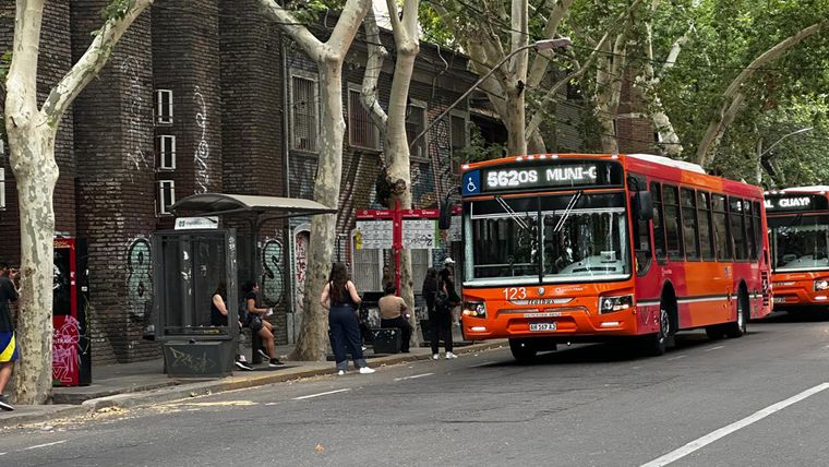 Habrá colectivos gratuitos y pagos, unidades accesibles y tarifas diferenciales de taxis durante la semana de Vendimia.
