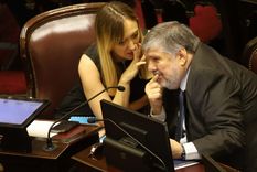 El bloque K busca consenso de bloques opositores e impulsar una sesión la próxima semana Foto: NA