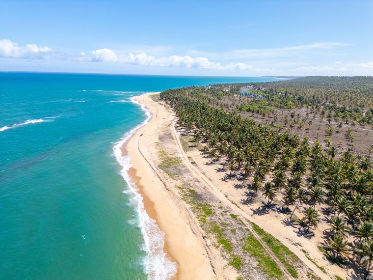 Las playas del Nordeste de Brasil se destacan por sus aguas cálidas, paisajes naturales y pueblos turísticos.