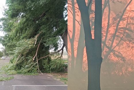 Desde la Municipalidad de Tunuyán pidieron transitar con precaución. Desde la Municipalidad de Tunuyán pidieron transitar con precaución.