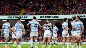 Los Pumas derrotaron con contundencia a Gales y se viene Escocia. Los Pumas derrotaron con contundencia a Gales y se viene Escocia.