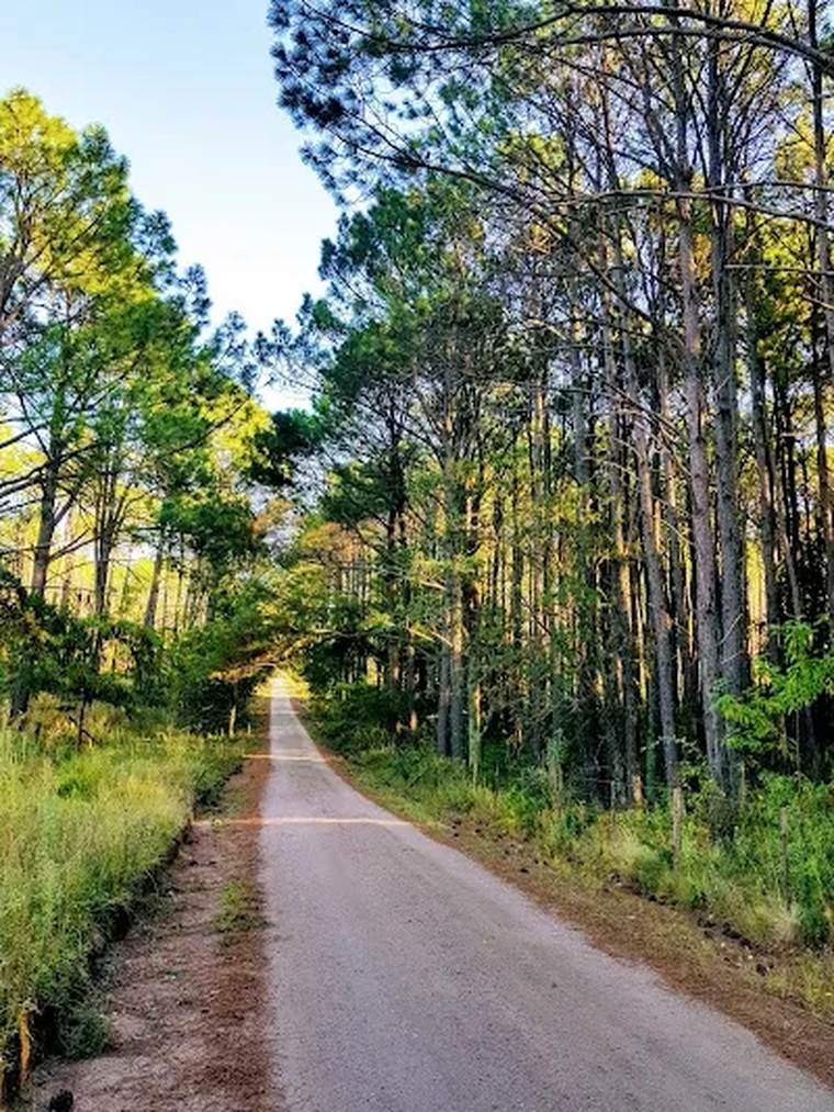 Alpa Corral: el pueblo escondido de Córdoba que enamora con sus paisajes serranos