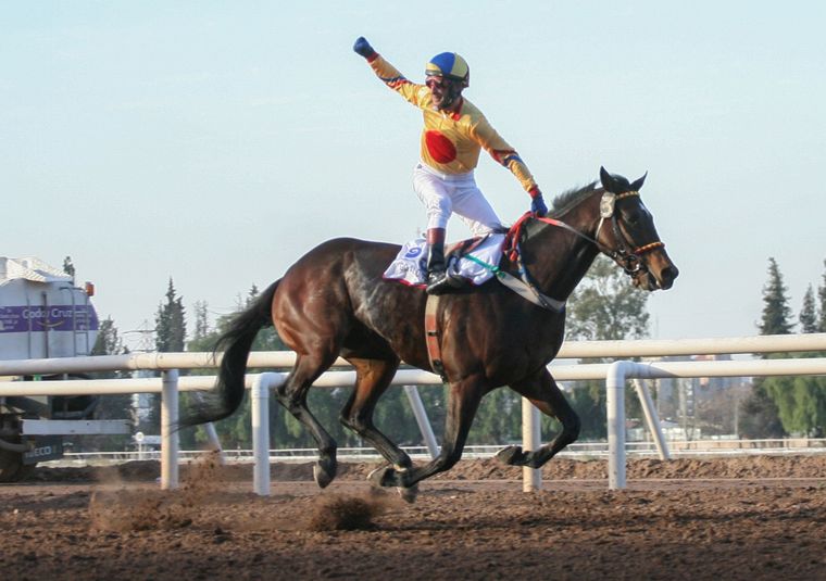 En el año 2017 el gran ganador del Santiago fue Go Alone, con la monta de Sergio Fernández.