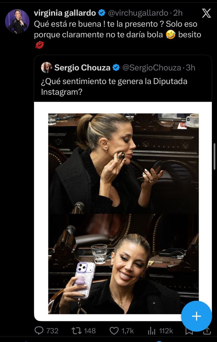 Las publicaciones de la diputada nacional.