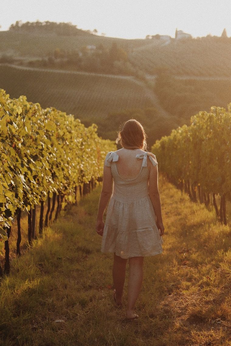 Las viñas, un paseo que se repite en Mendoza. Imagen ilustrativa.