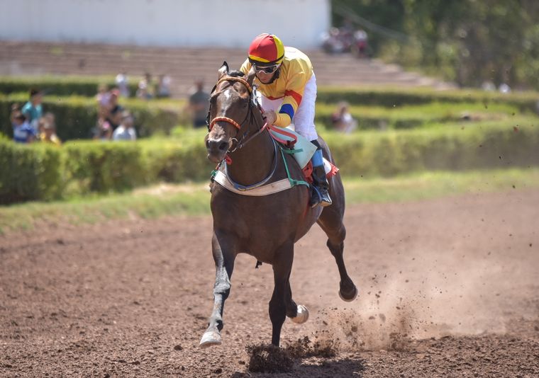 King Ruler defenderá nuestro voto en la prueba principal de la jornada. Foto: José Maluf