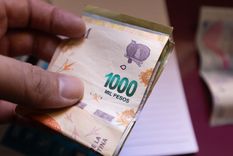 Prestación por Desempleo de ANSES: cómo acceder, cuánto y cuándo se cobra Foto: Shutterstock