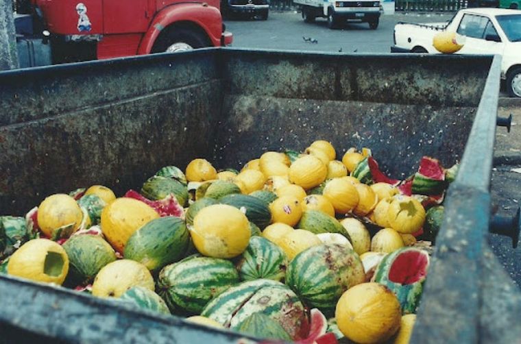 Argentina Se tiran 16 millones de toneladas anuales de comida Foto: FAO