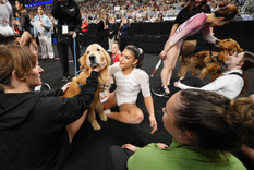 Este es Beacon, perro que ayuda a las gimnastas de Estados Unidos. Foto: AP Este es Beacon, perro que ayuda a las gimnastas de Estados Unidos. Foto: AP