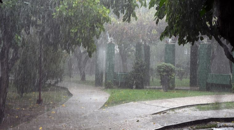 Foto: ALF PONCE MERCADO / MDZ