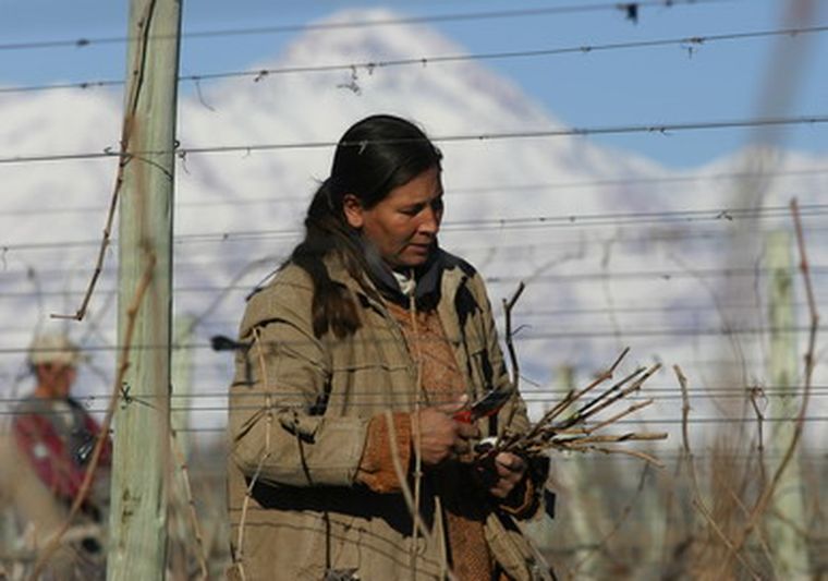 La intención es vincular al trabajador y al empresario. Foto: Gerardo Gómez / MDZ