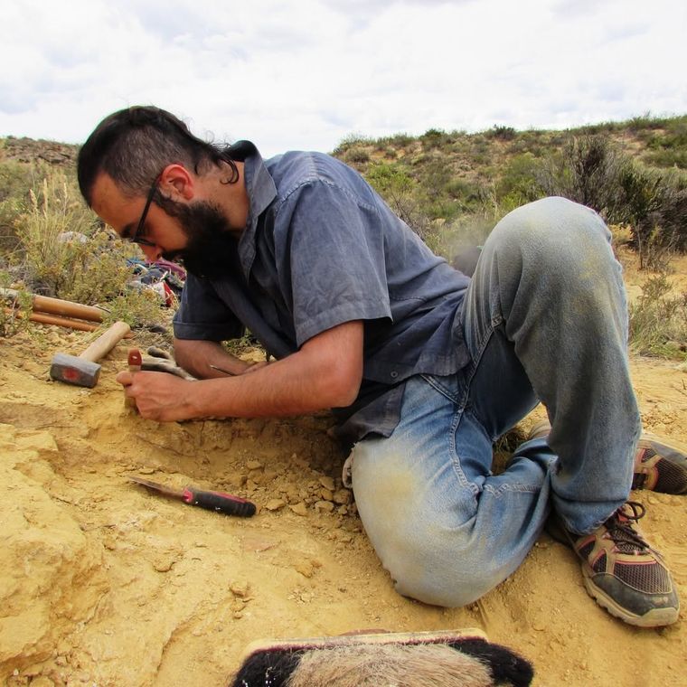 El paleontólogo mendocino Mauricio Cerroni en una de las muchas expediciones que ha realizado en la Patagonia. El paleontólogo mendocino Mauricio Cerroni en una de las muchas expediciones que ha realizado en la Patagonia.