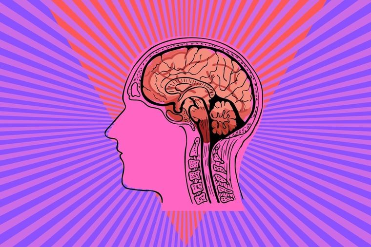 El test visual que sólo puede ser resuelto por las mentes más brillantes Test visual Foto: Canva