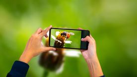 Un avance en tecnología óptica promete cambiar para siempre la forma en que los teléfonos capturan imágenes.