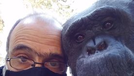 Adiós a Tomy. Adiós a Tomy.