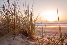 Valeria del Mar posee dunas, bosques y tranquilidad. Foto: Fuente: Shutterstock