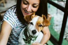 Esot fue lo que dijo la inteligencia artificial sobre las mascotas Foto: Archivo Esot fue lo que dijo la inteligencia artificial sobre las mascotas Foto: Archivo