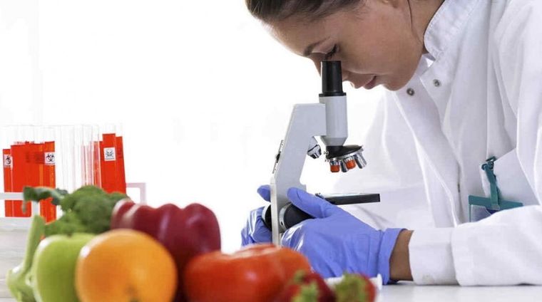 Los especialistas trabajarán en la investigación de la producción de agroalimentos. Foto: Archivo MDZ