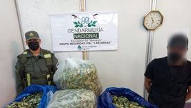 El cargamento, que pesaba cincuenta kilos, provenía de Salta