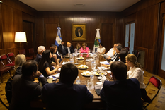 Patricia Bullrich reunió a la nueva tropa libertaria que asumirá en el Senado.  