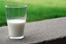 Hay desabastecimiento de una marca de leche que está incluida en el listado de precios máximos Foto: Pexels