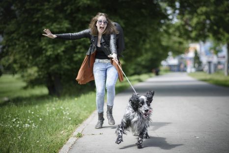 Consejos para un buen paseo con tu mascota. Foto: Shutterstock Consejos para un buen paseo con tu mascota. Foto: Shutterstock