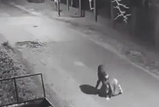 La víctima fue auxiliada por un vecino