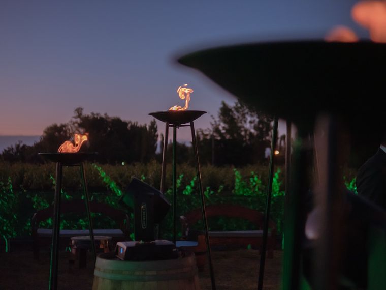 La Fiesta de la Flor de la Vid abre el calendario de la Vendimia. La Fiesta de la Flor de la Vid abre el calendario de la Vendimia.