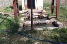 vecinos de lujan conviven con olor y liquidos cloacales cada dia