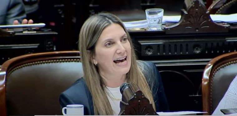 Silvia Lospennato fulminó a Leandro Santoro Foto: Captura Diputados TV