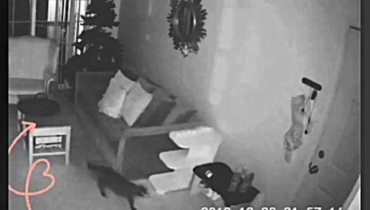 La imagen fue impresionante.