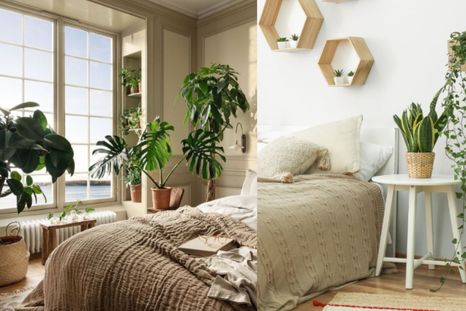 Los mejores tips de jardinería. Foto: Archivo Los mejores tips de jardinería. Foto: Archivo