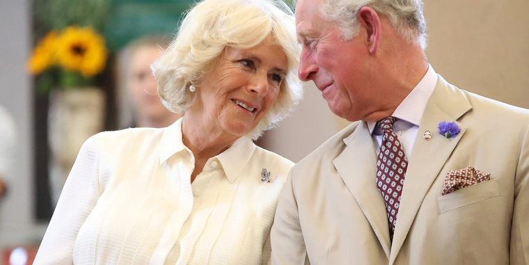 Algo que no se puede negar de Camila Parker es la elegancia y la sobriedad con la cual elige sus atuendos y sus looks. Foto: New York Post - https://nypost.com/wp-content/uploads/sites/2/2018/07/070918-camilla-discusses-weird-food-royals-eat.jpg