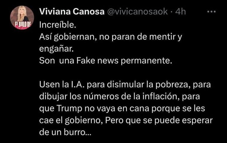 Viviana Canosa estalló de furia contra el militante libertario. Viviana Canosa estalló de furia contra el militante libertario.