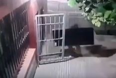 lo drogaron y le desvalijaron la casa en ciudad