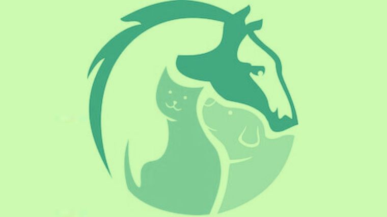 Test de personalidad