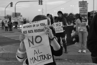 MDZol | ONGs y ciudadanos participaron juntos de la protesta.