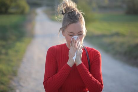 Día de la alergía: tres plantas medicinales para combatirlas Foto: Freepik