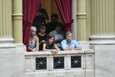 Fernanda Raverta siguió la sesión desde los palcos Foto: Noticias Argentinas