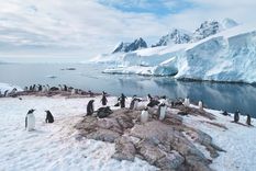 Dos excursiones turísticas, accesibles, inéditas y extraordinarias permiten visitar la Antártida.