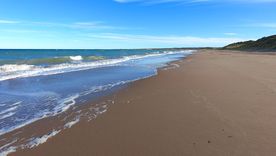 El pueblo de Balneario Orense, en el sur bonaerense, guarda kilómetros de playas vírgenes ideales para un verano tranquilo.
